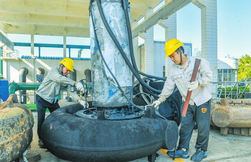 海口主城區污水處理廠 站 全部復產 12座鎮域污水處理廠恢復生產